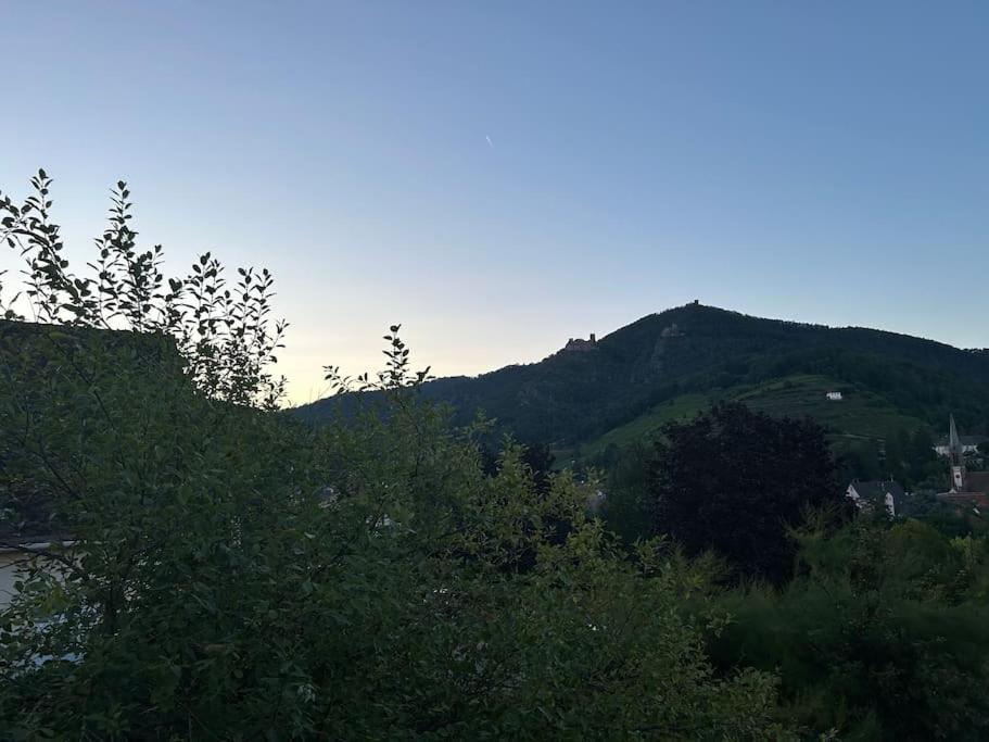 Vue Magnifique Sur Les Chateaux Ribeauville  Bagian luar foto